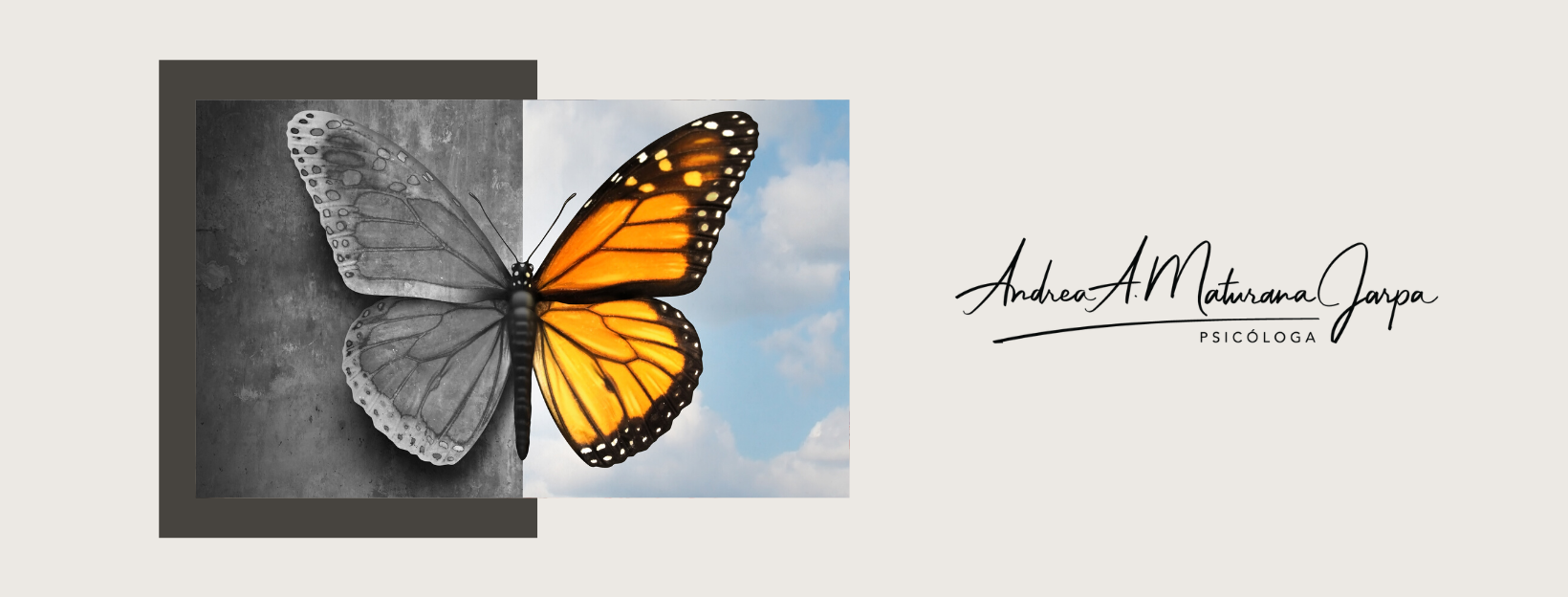 Ps Andrea Maturana Psicóloga Ps Andrea Maturana Psicóloga