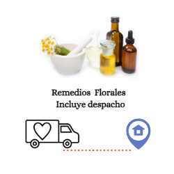 Colecciones  PS AMJ (300 × 300 px) con despacho